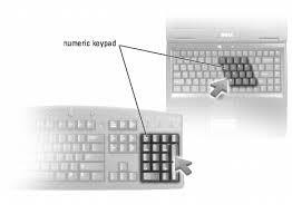 Using The Keyboard Dell Latitude D630 D630c User S Guide
