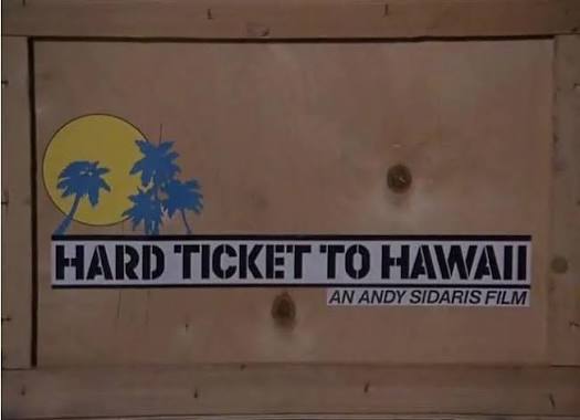 Hard Ticket to Hawaii | Internet Movie Plane Database Wiki | Fandom