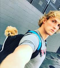Logan Paul And His Puppy Kongriityeyayeѕt Faithbird With Images Logan Paul Logan Paul Kong Logan Jake Paul