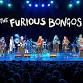 The Furious Bongos featuring Chad Wackerman  event image
