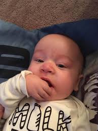 Happy 6 Month's Bruno Mauxie, Midge, Tank, and Lennon!! It's crazy how  quick time has flown by is and now your half of a year. You've brought so  much joy, love and