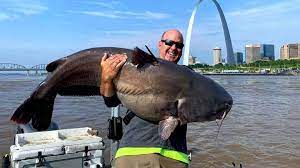 Are Blue Catfish Good To Eat Interesting Facts That Will Surprise You