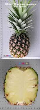 We did not find results for: Pineapple Varieties