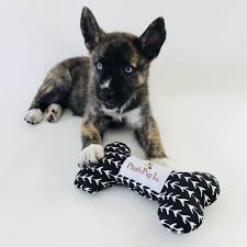 Dog Toy Dog Bone Toy Vines Dog Bone Toy Many Colors Dog Toy Collection Small To Large Dog Bone Toy Dog Gift Dog Birthday Dog Bone Toy Dog Gifts Dog Toys