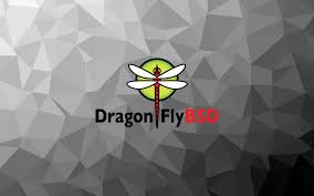 Image result for Computers Software Operating Systems Unix BSD DragonFly
