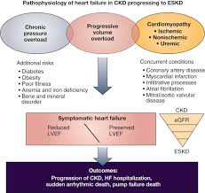 However, beyond that initial insult, a form of maladaptive systemic and renal response. Heart Failure In Chronic Kidney Disease Conclusions From A Kidney Disease Improving Global Outcomes Kdigo Controversies Conference Kidney International