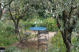 Roses may begin to bloom in may, but they more commonly bloom in. Summer Flowering Plants Trees Birthday Gift Ideas For June July August