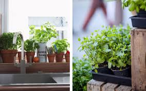 Keeping an indoor herb garden is easier than you might think! Indoor Herb Garden How To Make A Kitchen Herb Garden