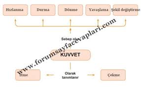 4 Sinif Fen Bilimleri Ders Kitabi 114 115 116 117 118 119 Sayfa Cevaplari Meb Yayinlari Forum Sayfa Cevaplari Kitap Sinif