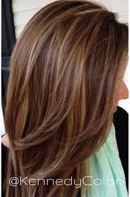 Reddish highlights for dark brunettes. 55 Ideas Hair Color Blonde With Lowlights Brown Brunette Hair Color Brown Hair With Blonde Highlights Brown Blonde Hair