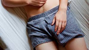 Is the Penis a Muscle or Organ? 9 Qs About Size, Erection, and More