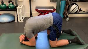 To perform the cat and camel: Lumbar Spine Cat Camel Youtube