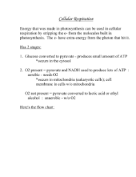 biology 120 ch 4 cellular respiration