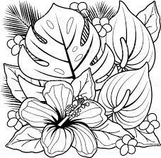 Go get your crayons and print this great coloring pages coloring sheet! Awesome Tropical Flower Coloring Pages Collection Printable Throughout Of Flowers Printable Flower Coloring Pages Flower Coloring Sheets Flower Coloring Pages