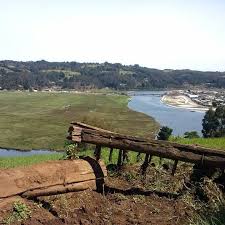 Her gross tonnage is 88586 and deadweight is 94374. Biopaisajes Comuna Tirua Home Facebook