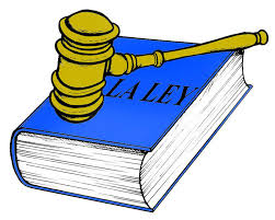 LAS LEYES VS NUESTRAS EXPERIENCIAS - EDUGAL