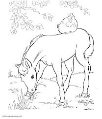 School's out for summer, so keep kids of all ages busy with summer coloring sheets. Printable Farm Animals 6 Coloring Pages Farm Animal Coloring Pages Coloring Pages For Kids And Adults