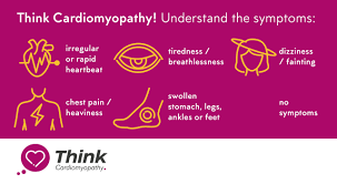 Image result for Cardiomyopathy