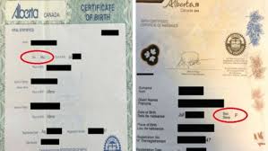 Maybe you would like to learn more about one of these? Alberta Man Changes Gender On Government Ids For Cheaper Car Insurance Cbc News