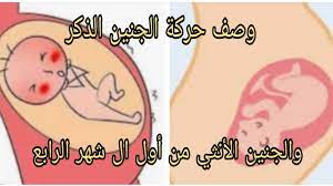 ينمو بعض خلايا طفلك في الأنبوبة العصبية التي ستشكل العمود. ÙˆØµÙ Ø­Ø±ÙƒØ© Ø§Ù„Ø¬Ù†ÙŠÙ† Ø§Ù„Ø°ÙƒØ± ÙˆØ­Ø±ÙƒØ© Ø§Ù„Ø¬Ù†ÙŠÙ† Ø§Ù„Ø§Ù†Ø«ÙŠ Ù‡ØªØ¹Ø±ÙÙŠ Ø¨Ù†ÙØ³Ùƒ Ø­Ø§Ù…Ù„ ÙÙŠ Ø¥ÙŠÙ‡ Ù…Ù† Ù…ÙƒØ§Ù† Ø­Ø±ÙƒØªÙ‡ Youtube