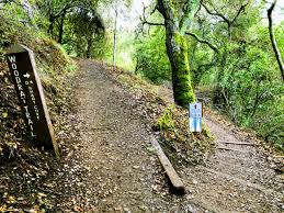 Keep your eyes out on the trail for deer, squirrels and a number of different birds including california quail, ravens and the occasional redtailed hawk, great horned own or vulture. Short Hikes Archives Until Suburbia