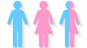 El término no binario designa a las identidades de género que se reconocen con aspectos tanto masculinos y femeninos y, por ende de acuerdo con la onu, es un término comodín que se utiliza para describir una amplia gama de identidades cuya apariencia y características se perciben como de. Misiones Sera Pionera En La Rectificacion De Genero No Binario Primera Edicion