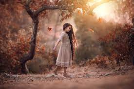 Finding photos and images you can legally use on your blog can be challenging. Top 25 Photos On Flickr In 2019 From Around The World Flickr Blog