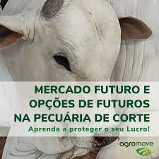 Cursos e Simuladores