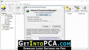 Looking for download manager to manage, accelerate downloads? Internet Download Manager 6 31 Build 9 Idm Free Download
