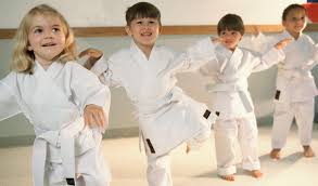 Kids Karate Martial Arts The Adhd Brain