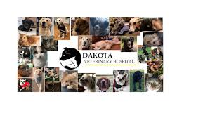Kindness animal hospital is a full service small animal veterinary hospital. Dakota Veterinary Hospital Reviews Facebook