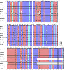 Image result for Pseudomussaenda stenocarpa