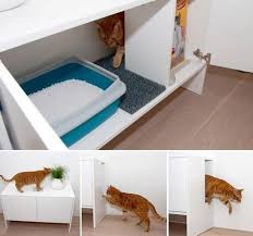 Caixa De Areia Grande Para Gatos Pin Em Caes