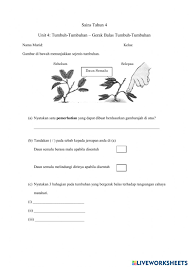 Gerak etionom merupakan gerak yang dipengaruhi rangsangan luar yang menyebabkan gerak seluruh atau sebagian organ tubuh tumbuhan. Gerak Balas Tumbuhan Sains Tahun 4 Worksheet