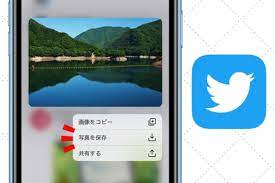 Twitterで画像を保存する方法まとめ 一括ダウンロードも可能【iPhone/Android/PC】 | アプリオ