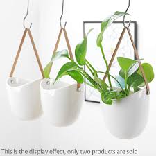 View our full range of indoor & outdoor plants, pots, accessories & care guides. 2pcs Wall Planters White Ceramic Plant Pot Set Large Indoor Outdoor Flower Pots Succulent Plant Vase Wall Decor Buy At The Price Of 11 44 In Aliexpress Com Imall Com