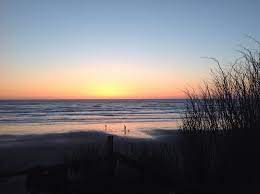 Kalaloch Campground Camping Locations Favorite Places Outdoor