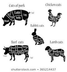 Lamb Parts Stock Vectors Images Vector Art Shutterstock