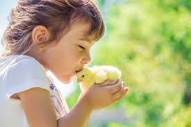 Familias vascas abogan por opciones veganas en comedores escolares porque  un menú vegetariano no es la solución