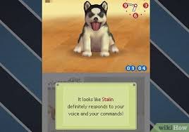 Anyway theres not much to buy so you should be able to save money fast. How To Unlock All The Dogs On Nintendogs 3 Steps With Pictures