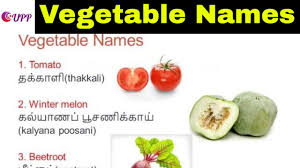 learn tamil through english vegetable