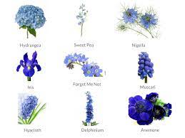 To bring your wedding floral dreams to life, begin with a rough idea of your wedding theme and colour scheme, the style of bouquets you are after, and your estimated flower. Cheat Sheets To Spring Wedding Flowers Weddingplanner Co Uk