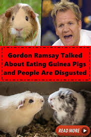 6 times gordon ramsay actually liked the food! Pin On Random