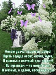 а у нас на озере лилии цветут скачать бесплатно Https Encrypted Tbn0 Gstatic Com Images Q Tbn 3aand9gctglug7n1qbvrlkmima6im Yanlebryhcvg7q Usqp Cau