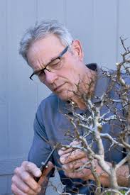 ABS Learning Seminars