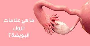 ما هي علامات نزول البويضة ويب طب