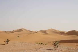 Sahara este cel mai mare deșert uscat, și al treilea cel mai mare de pe pământ, după antarctica și arctica, cu o suprafață de 9.400.000 km². Landscapes Of Sahara Desert Candles