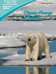 Weareteachers Ideas Inspiration And Giveaways For Teachers Weareteachers Climate Change Lesson Climate Change Activities Climate Change