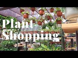 Denver morrissey nicks (born c. Nick S Garden Center Coupon 07 2021