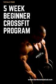 Best free crossfit programming provides a comprehensive and comprehensive pathway for students to see progress after the end of each module. Pin On Fitness